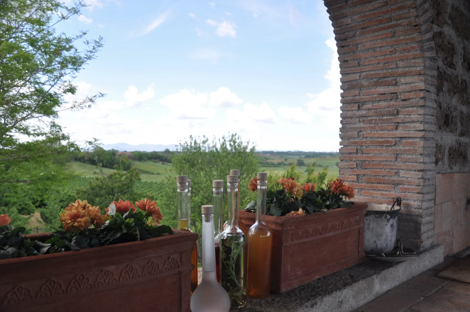 The view from beside the oven at Villa Eddarella, looking down the Tiber valley over vineyards and farmland, with bottles of homemade liqueurs on the ledge